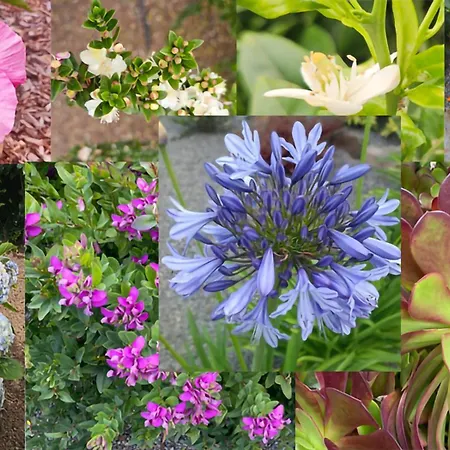 펜션 Garden Golf Tenerife