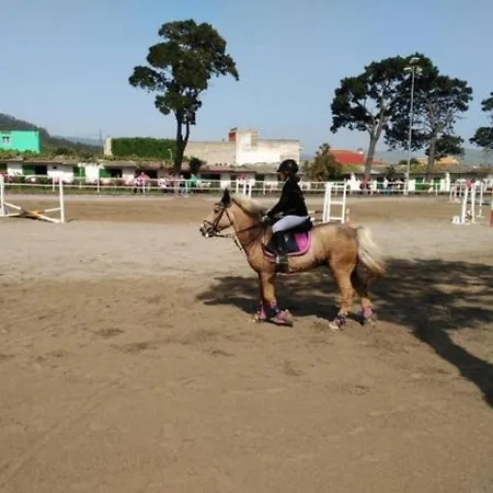 펜션 Garden Golf Tenerife 타코론테